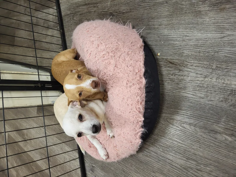 Cinnabon!! thumbnail 5