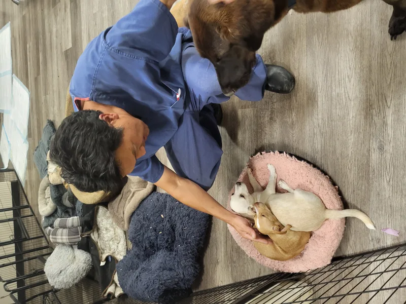 Cinnabon!! thumbnail 6