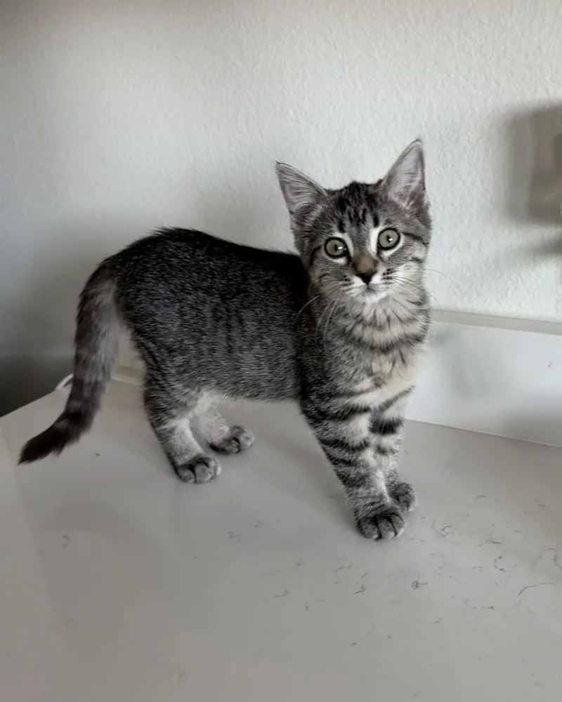 Stormie  Riley Fuzzell thumbnail 2