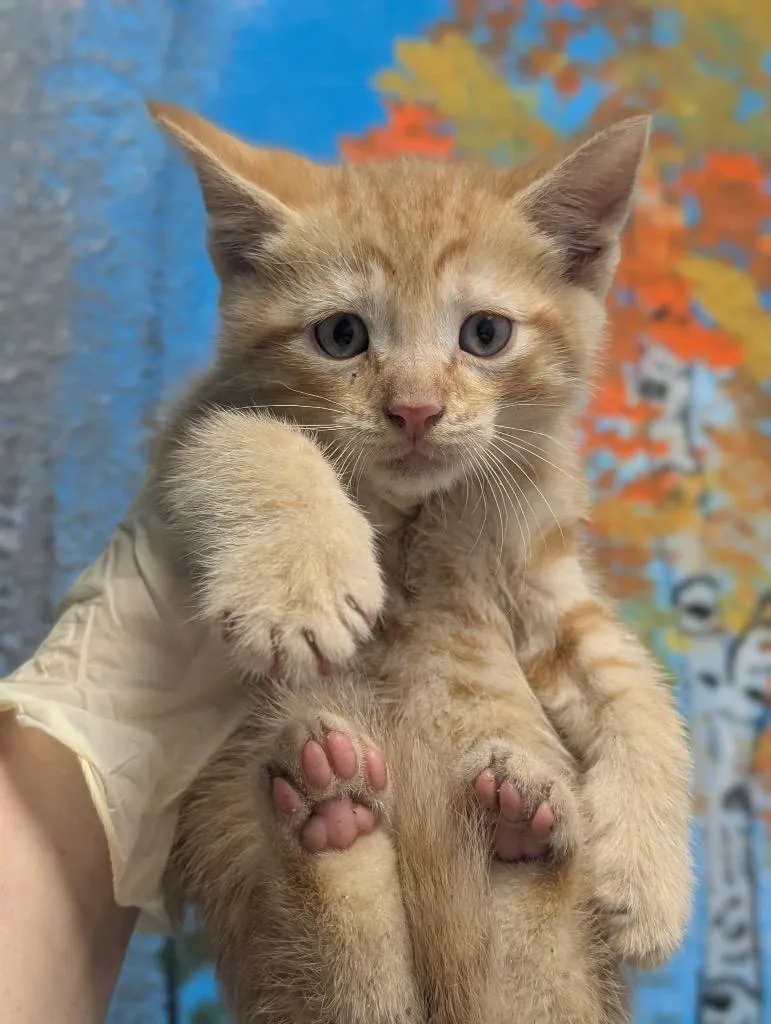 Tigger thumbnail 2