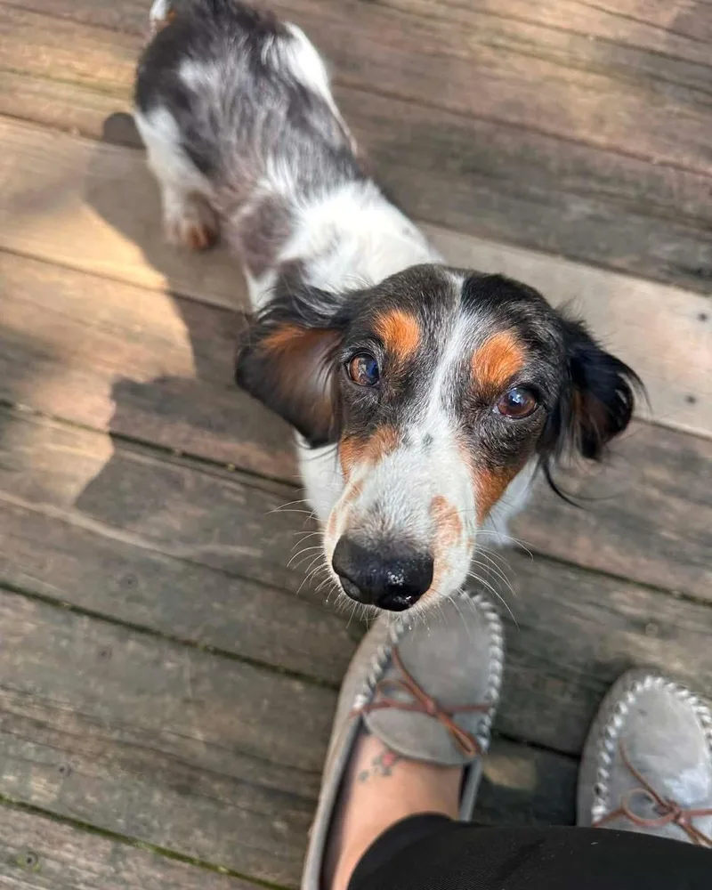 Victoria thumbnail 5