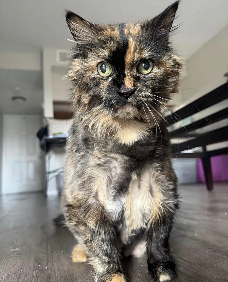 Chloe
