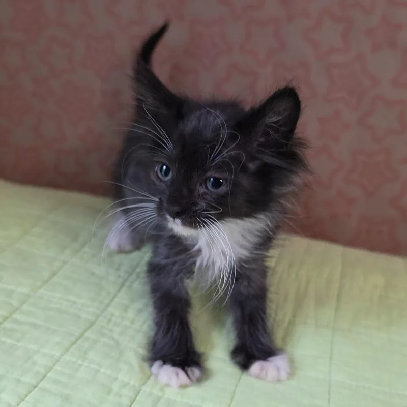 Baby Love thumbnail 2