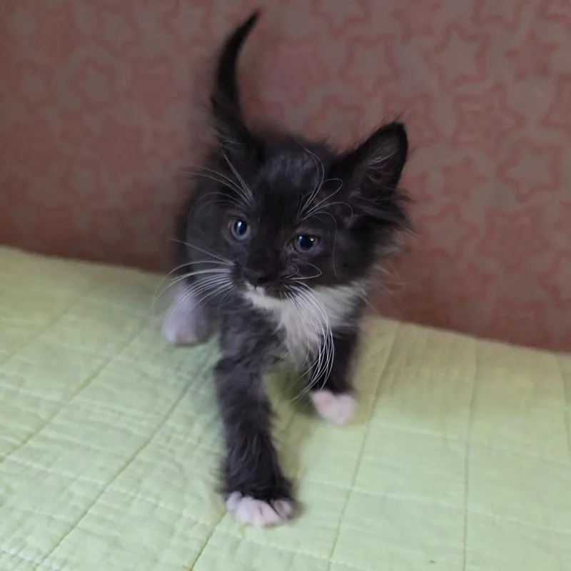 Baby Love thumbnail 3