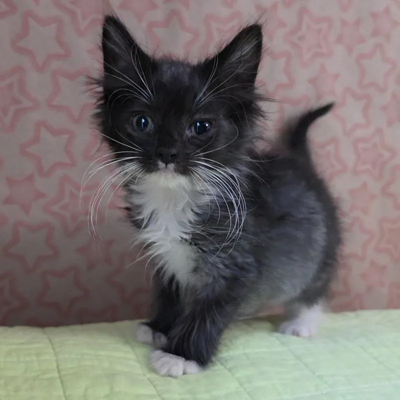 Baby Love thumbnail 6