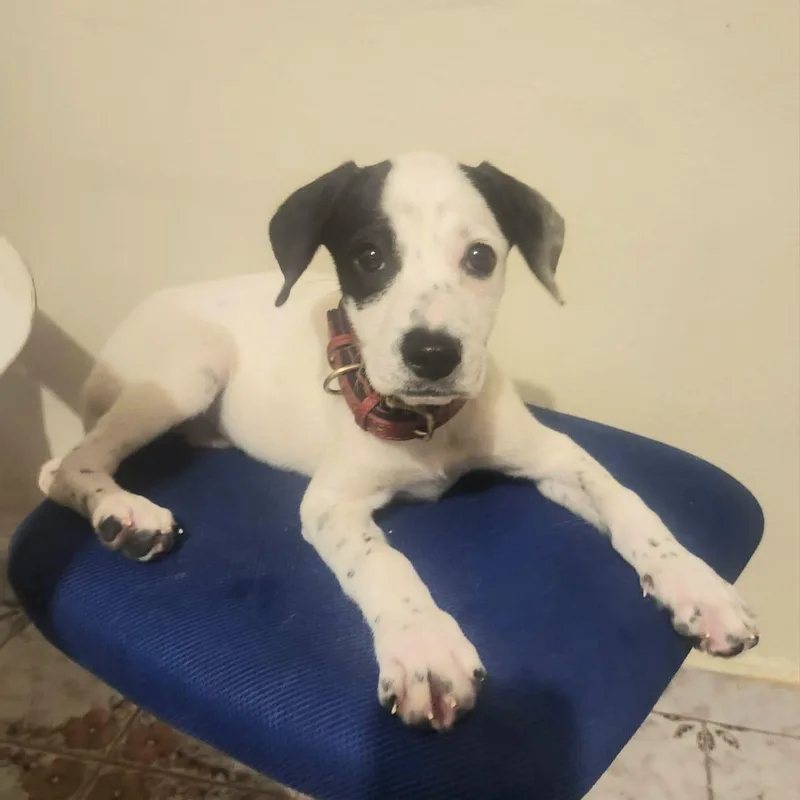 Kasi "your Loyal Bestie." thumbnail 3