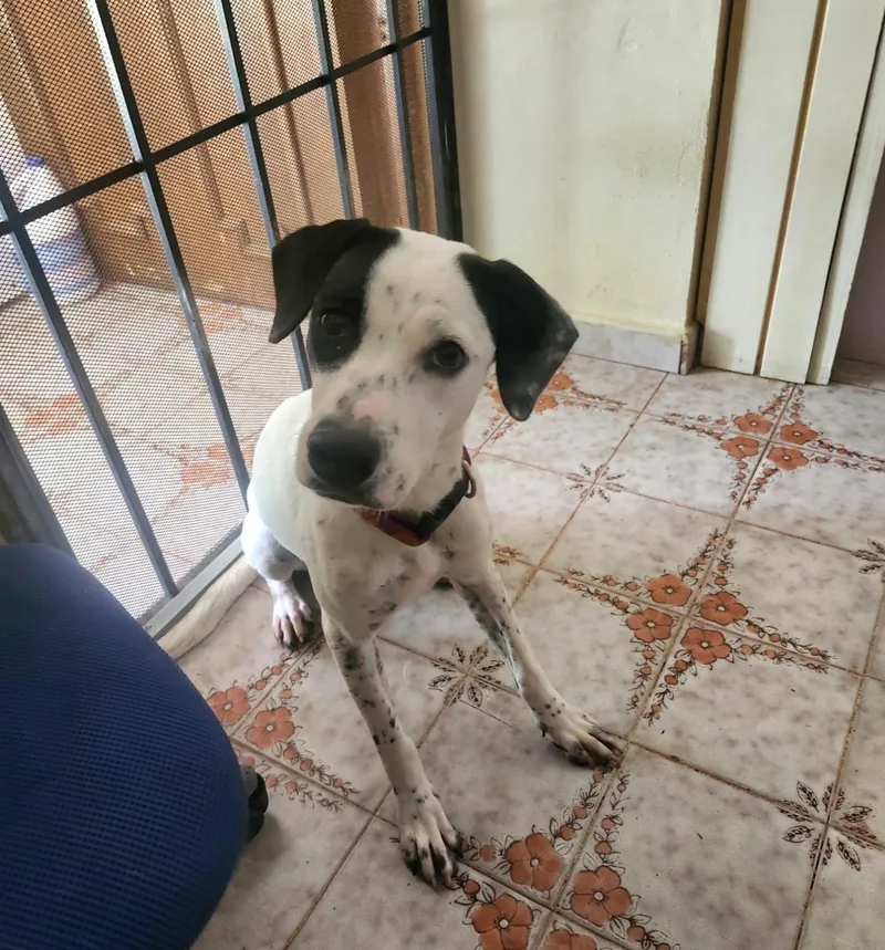 Kasi "your Loyal Bestie." thumbnail 5