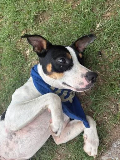 Petey