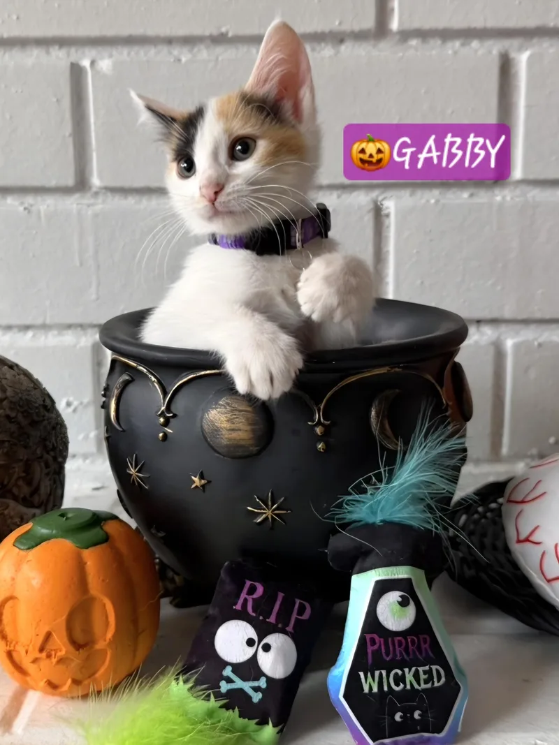 Gabby thumbnail 3