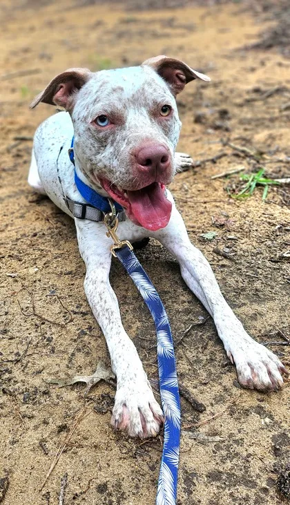 Milo Monroe thumbnail 3