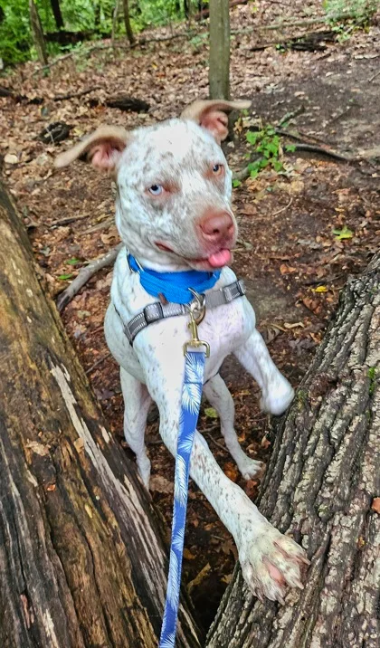 Milo Monroe thumbnail 4