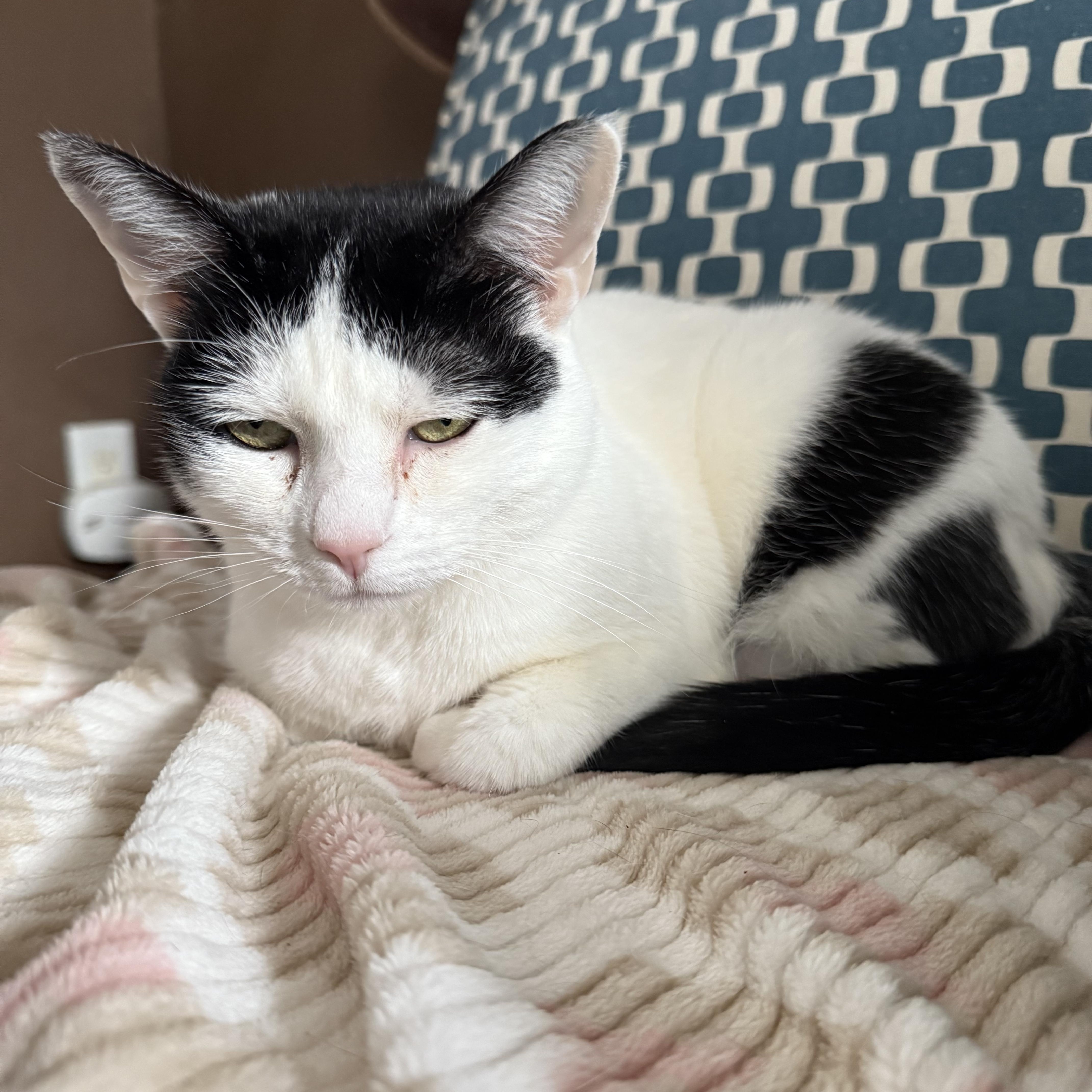 Victoria thumbnail 2