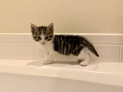 Murphy thumbnail 2