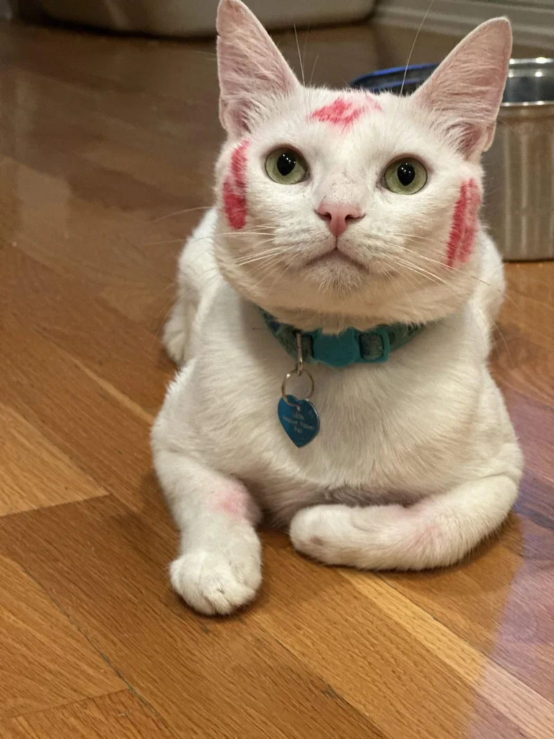 Milky Man thumbnail 3