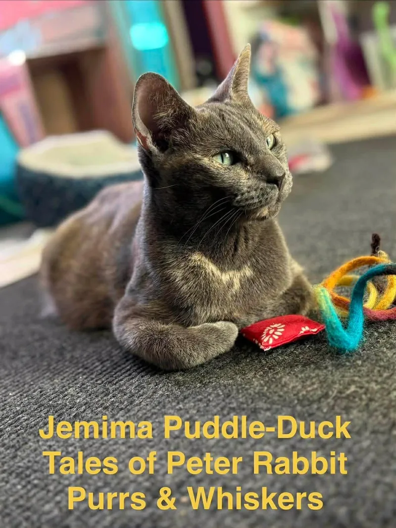 Jemima Puddleduck