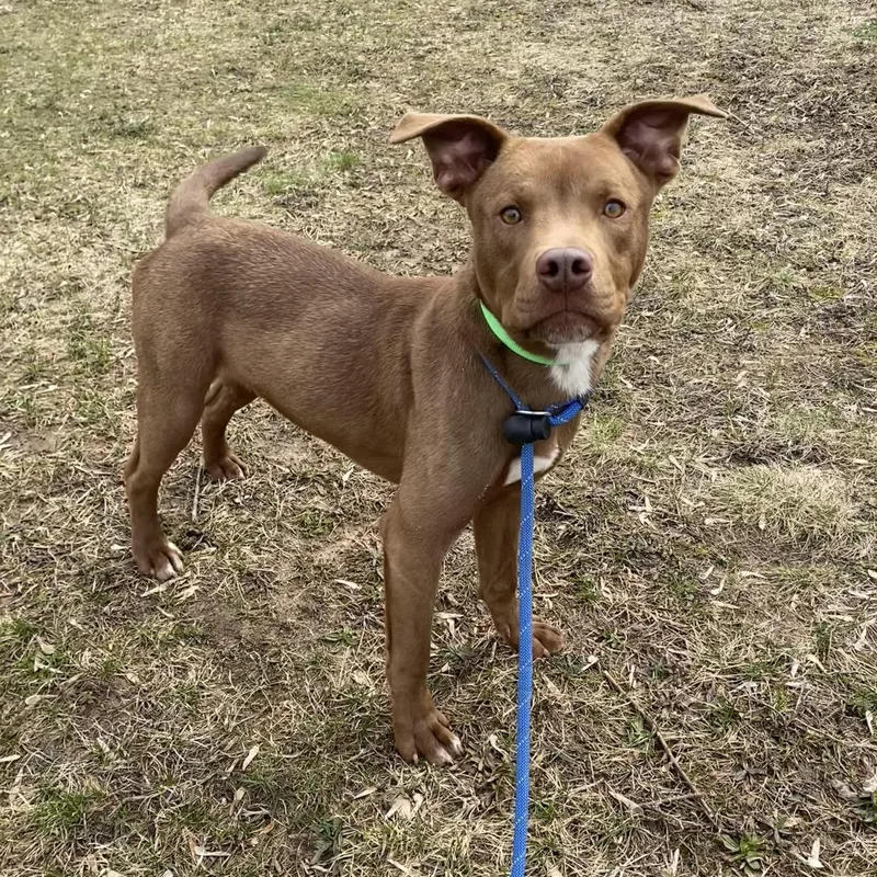 Theodore thumbnail 2