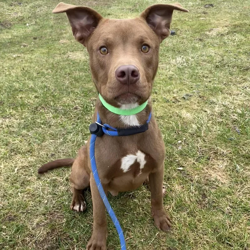 Theodore thumbnail 4