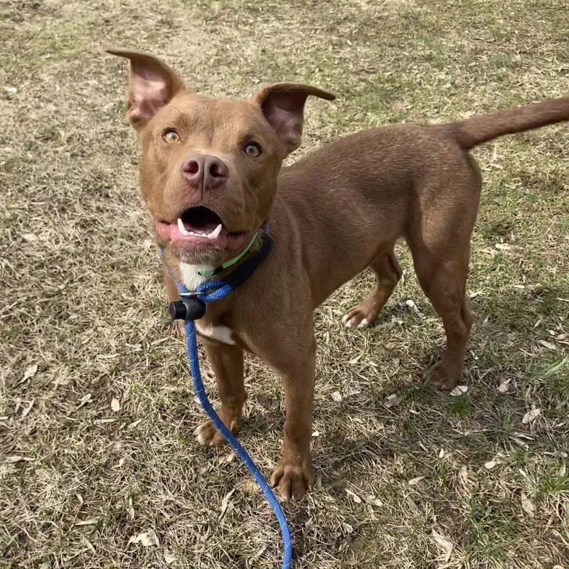 Theodore thumbnail 5