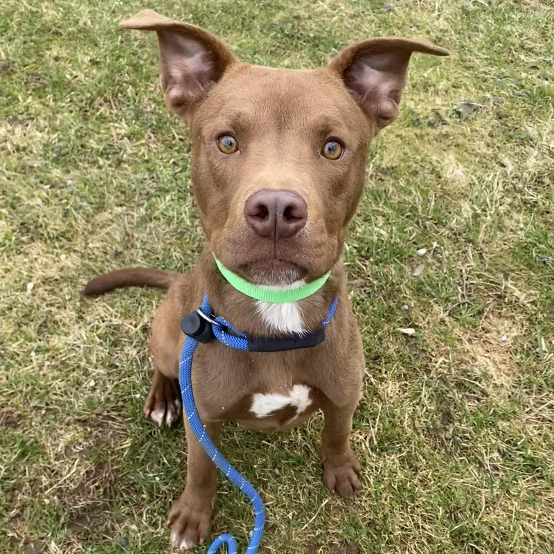 Theodore thumbnail 6