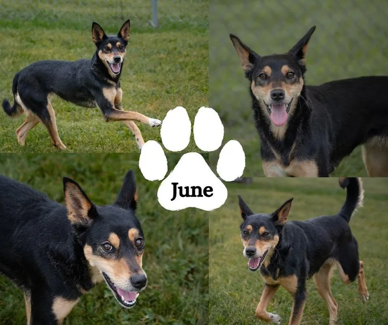 June