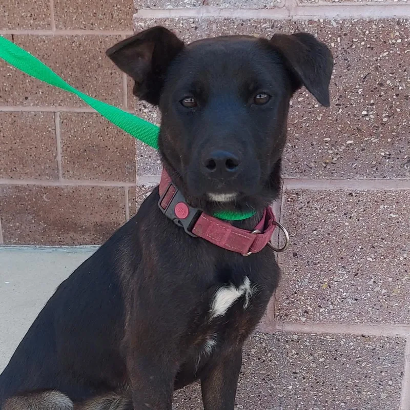 Rako Jum thumbnail 3