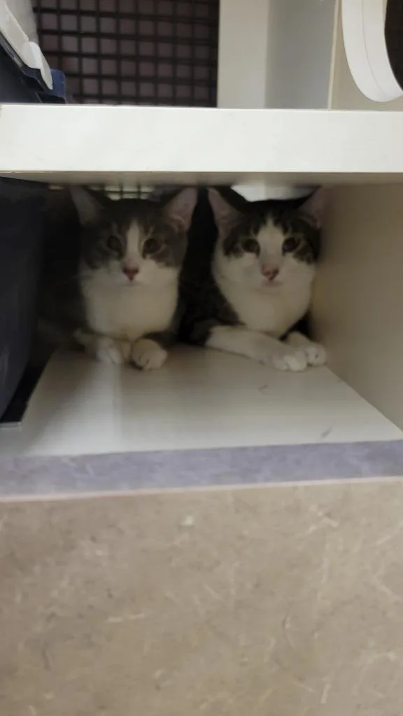 Nick Bonded With Natalie