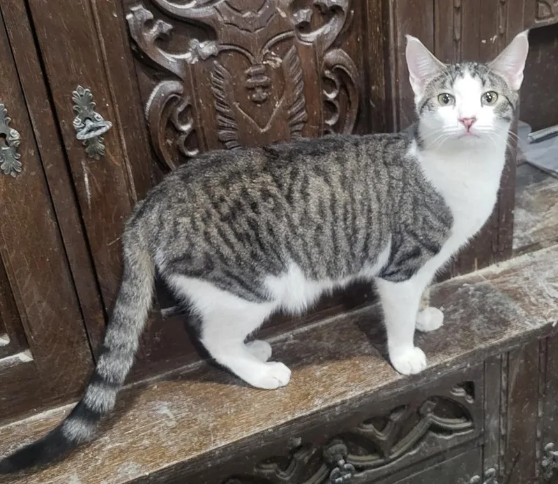 Nick Bonded With Natalie thumbnail 2