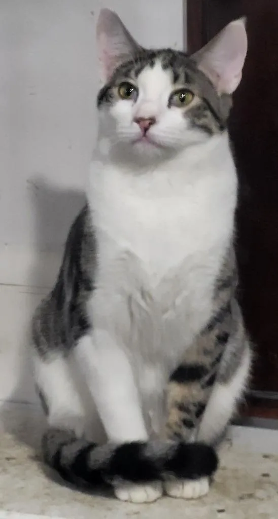 Nick Bonded With Natalie thumbnail 3