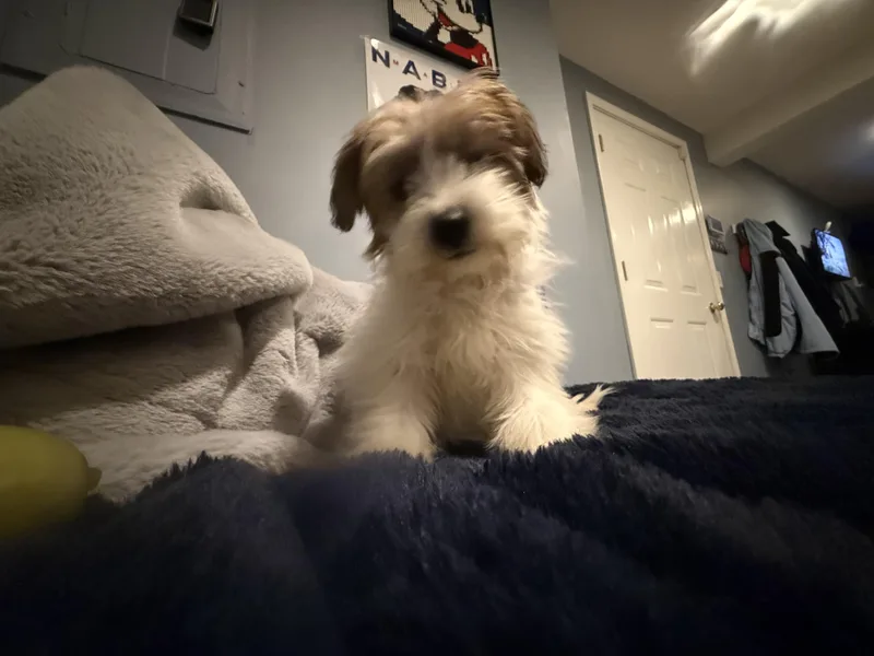 Maribelle thumbnail 4