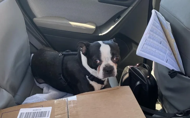 Paco Underhill Ky thumbnail 2