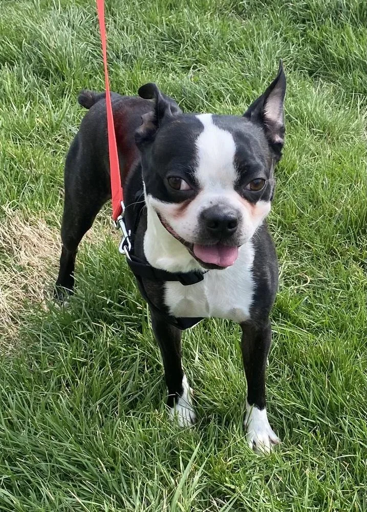 Paco Underhill Ky thumbnail 3