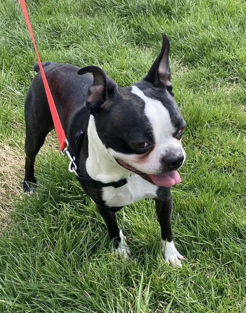 Paco Underhill Ky thumbnail 4