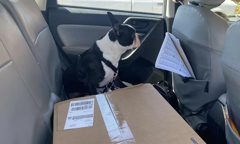 Paco Underhill Ky thumbnail 5