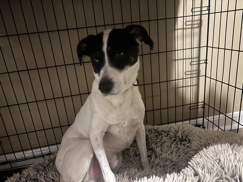 Buddy Baughn thumbnail 4