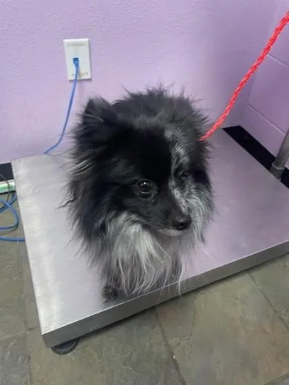 60644577 thumbnail 2