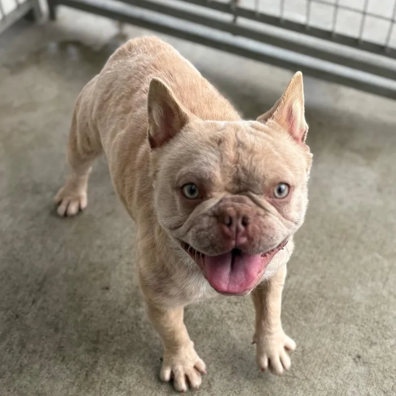 Paris Nicole thumbnail 3