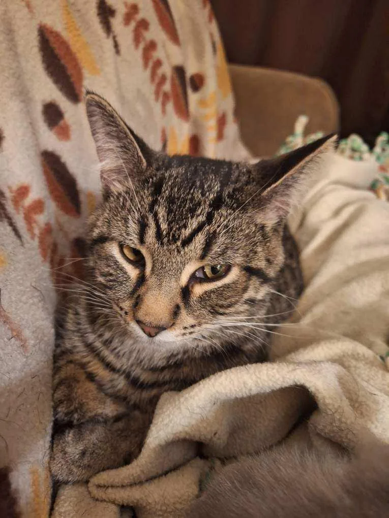 Kodie & Kasper thumbnail 4