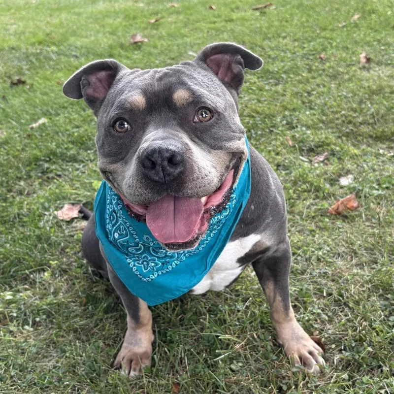 Professor Charles Xavier thumbnail 5