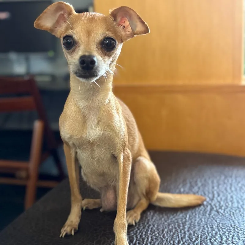 Lulu thumbnail 2
