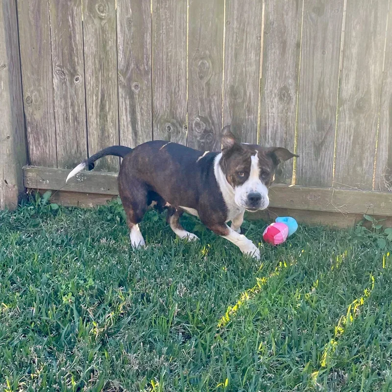 Maggie Mae thumbnail 3