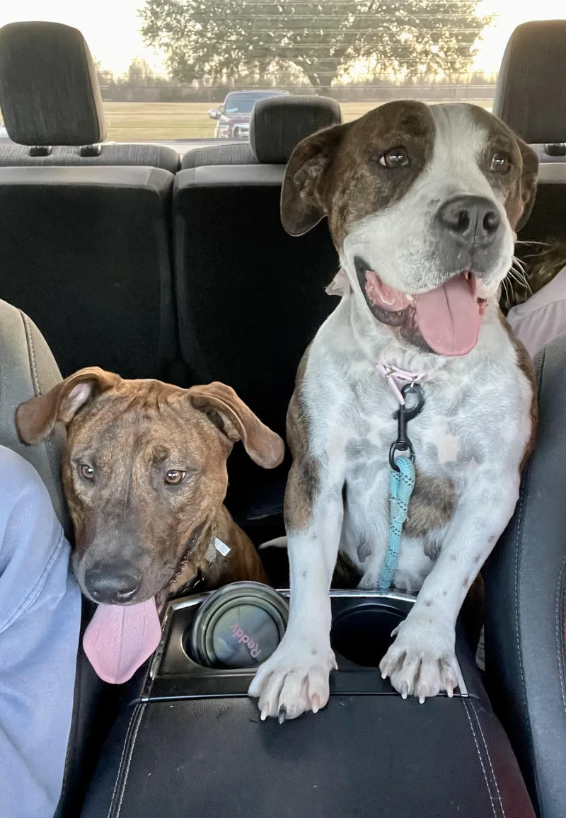 Maggie Mae thumbnail 4