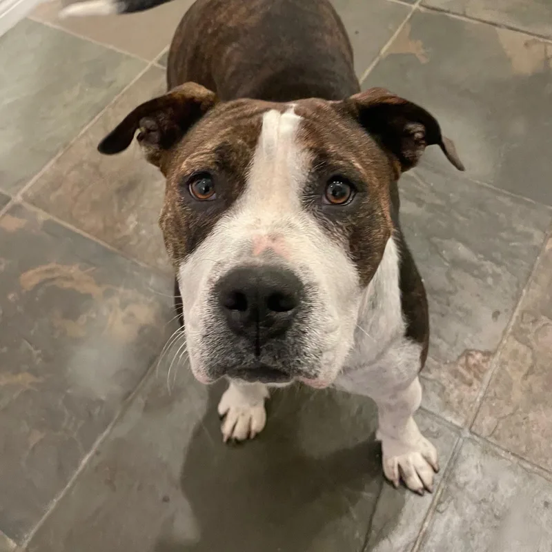 Maggie Mae thumbnail 5