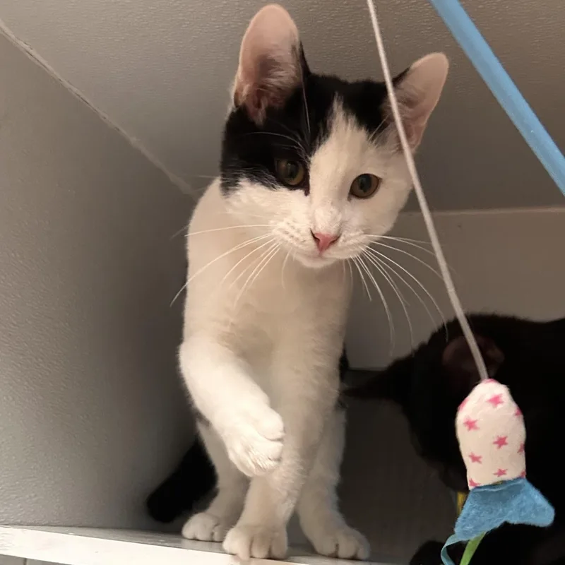 Jim thumbnail 3