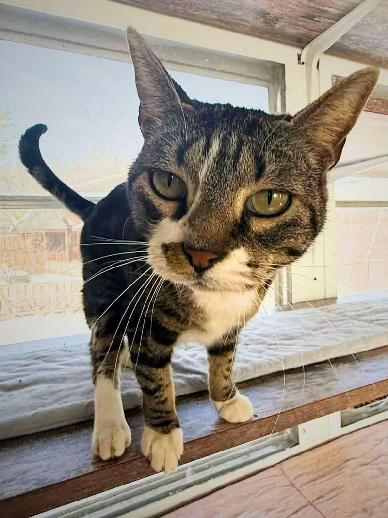 Lil Mama | Adult thumbnail 6