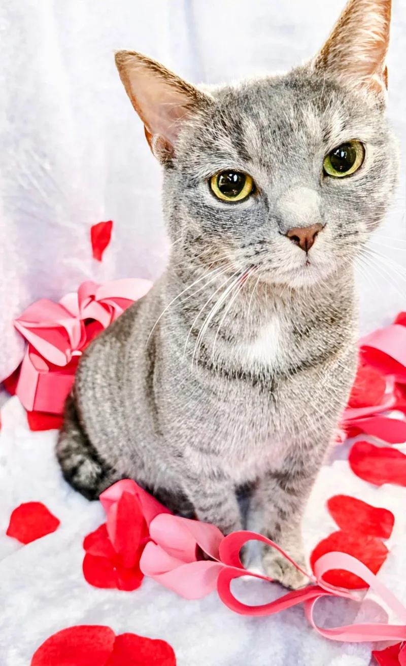 Pebble: Visit At Lynchburg thumbnail 2