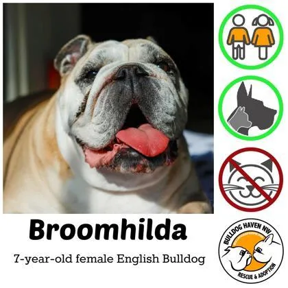 Broomhilda thumbnail 2