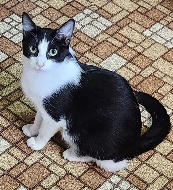 Skinner And Dorian thumbnail 2