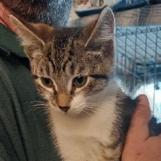 Skinner And Dorian thumbnail 3