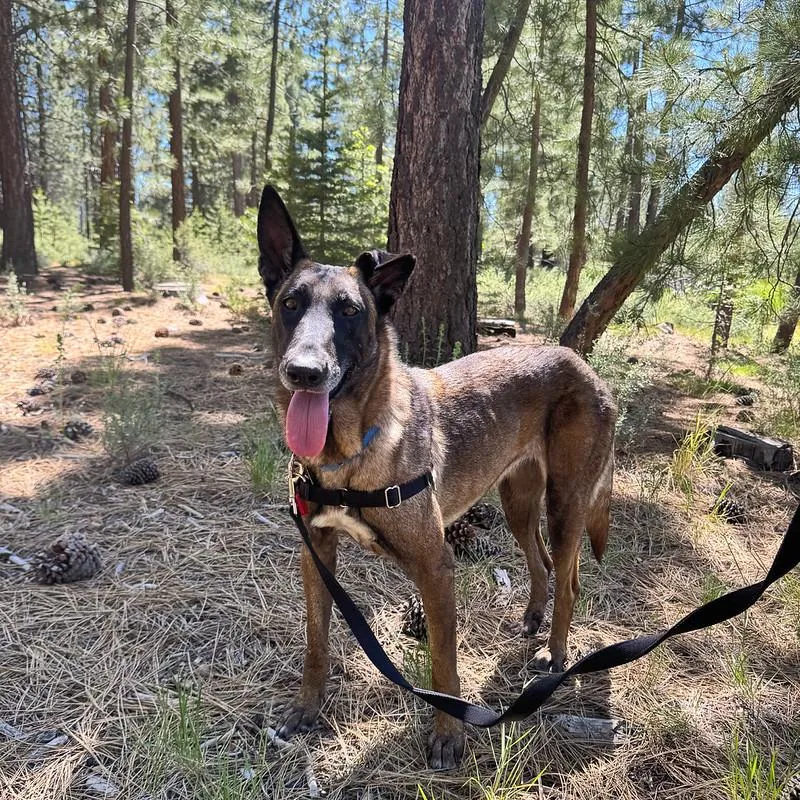 Flower thumbnail 3