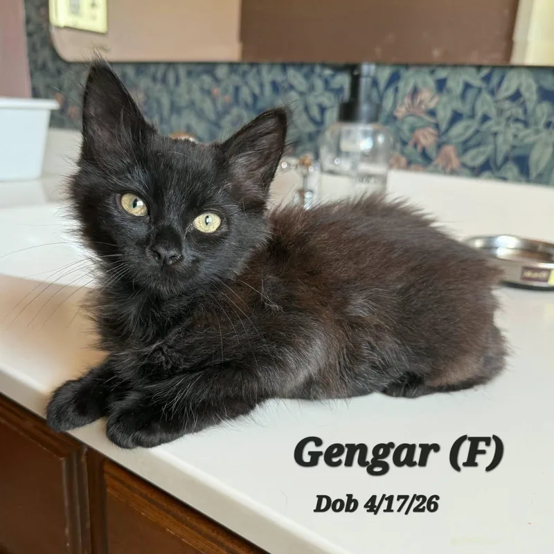 Gengar
